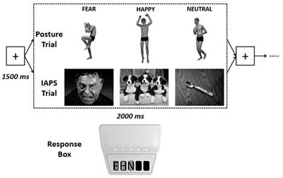 Modulation of Response Times During Processing of Emotional Body Language